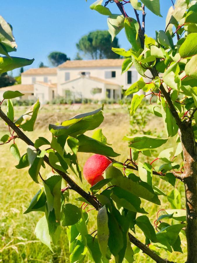 La Maison D Ame - For The Perfect Stay At The Mont Ventoux Malaucène 외부 사진